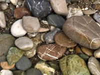 Bunte Kieselsteine am Strand